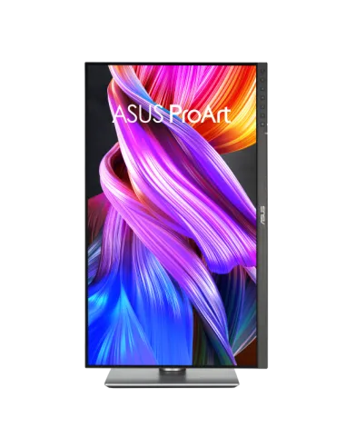 PROART PROFESSIONAL 24 QHD IPS