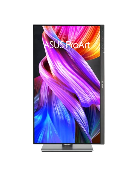 PROART PROFESSIONAL 24 QHD IPS