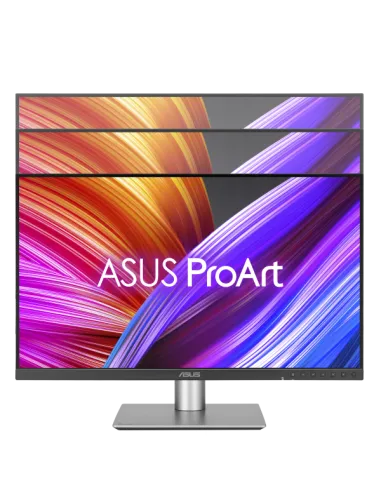 PROART PROFESSIONAL 24 QHD IPS