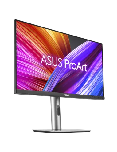 PROART PROFESSIONAL 24 QHD IPS