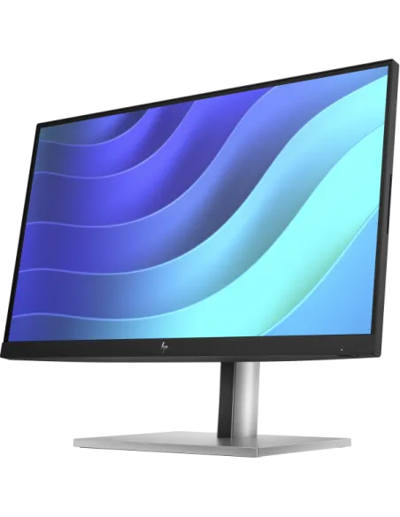 HP E22 G5 FHD MONITOR