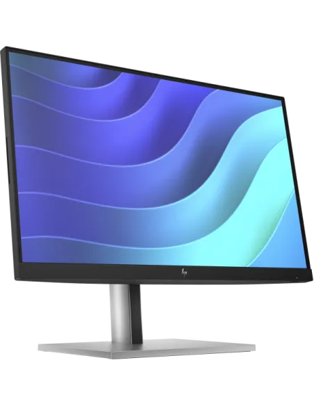 HP E22 G5 FHD MONITOR