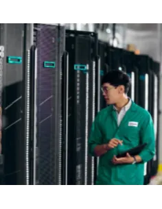 HPE MR416I-P GEN11 SPDM STORAGE CNT 2