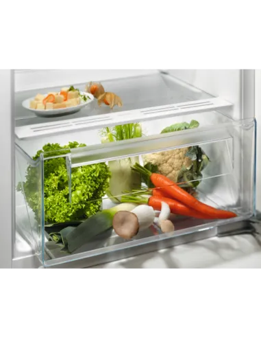 MONO INC STAT 122 E 174L