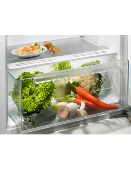 MONO INC STAT 122 E 174L