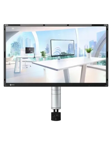 FLT FLEXSCAN 24 IPS LCD ECO