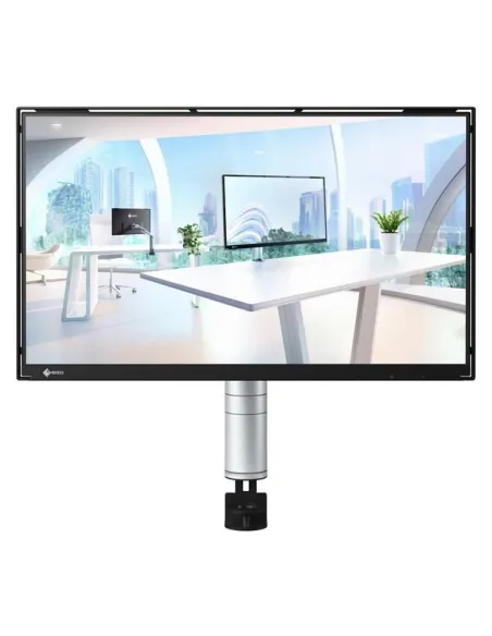 FLT FLEXSCAN 24 IPS LCD ECO