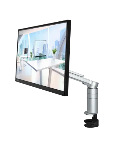 FLT FLEXSCAN 24 IPS LCD ECO