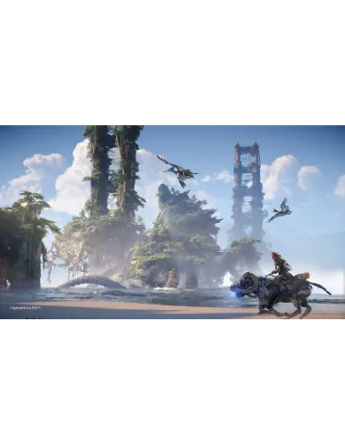 PS4 HORIZON FORBIDDEN WEST STD