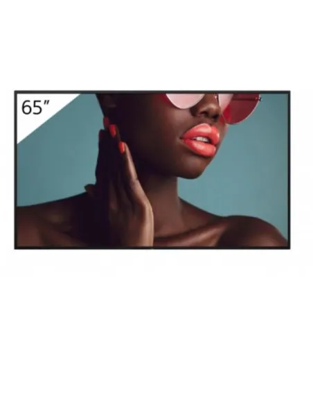 65 4K 24/7 PROFESSIONAL BRAVIA