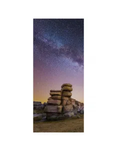 LH020IEACFS/EN P/N TVTD015221