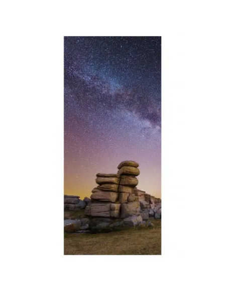 LH020IEACFS/EN P/N TVTD015221