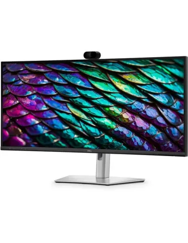 34 CURVED VIDCONF MONITOR P3426WEB