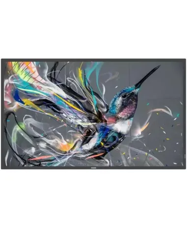 MONITOR 55 Q-LINE 18/7 4K