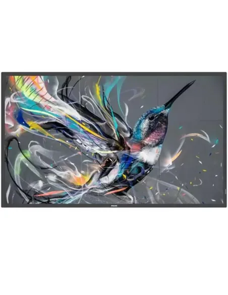 MONITOR 55 Q-LINE 18/7 4K