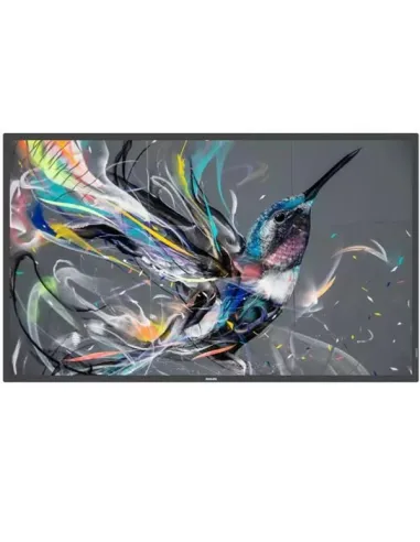 MONITOR 50 Q-LINE 18/7 4K