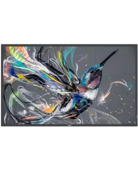 MONITOR 50 Q-LINE 18/7 4K