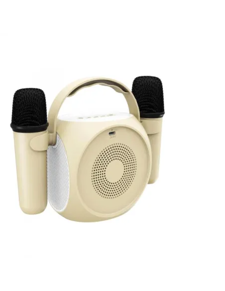 2MIC WITH RGB SPEAKER