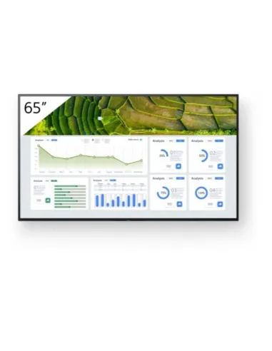 65 4K 24/7 PROFESSIONAL BRAVIA