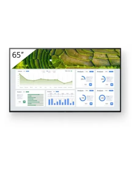 65 4K 24/7 PROFESSIONAL BRAVIA