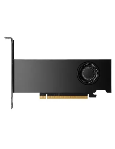 HP NVIDIA RTX PRO 2000 BW 16GB