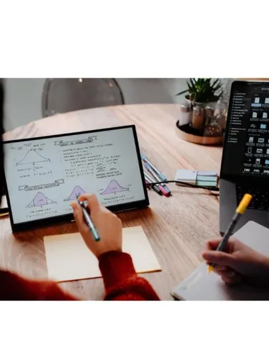 MONITOR PORTATILE TOUCHSC.1080P 14P