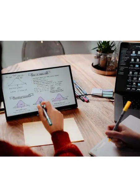 MONITOR PORTATILE TOUCHSC.1080P 14P