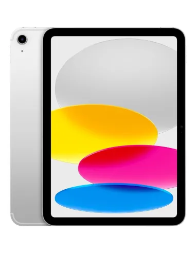 IPAD WF CL 256GB SLV