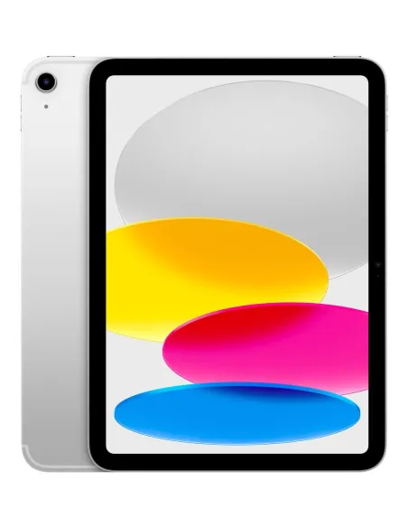 IPAD WF CL 256GB SLV