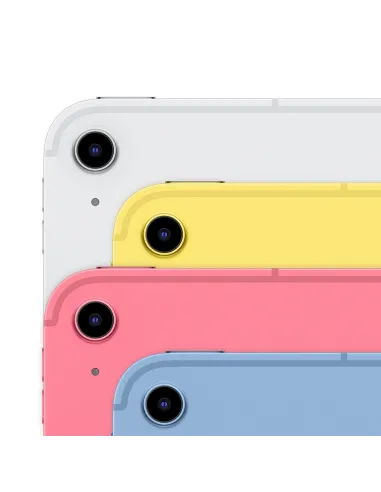 IPAD WF CL 256GB SLV