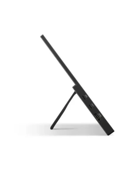 VA1650 MONITOR PORTATILE 16