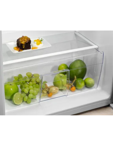 MONO INC STAT 102 E 148L