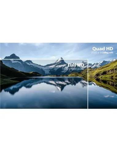 MONITOR 31,5 100HZ REG ALT