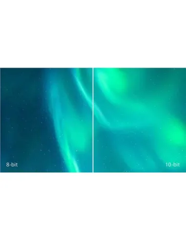 MONITOR 31,5 100HZ REG ALT