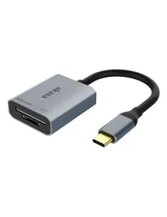 Akasa USB 3.2 Gen1 Type-C Dual Card Reader - silber