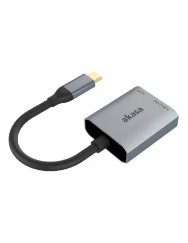 Akasa USB 3.2 Gen1 Type-C Dual Card Reader - silber