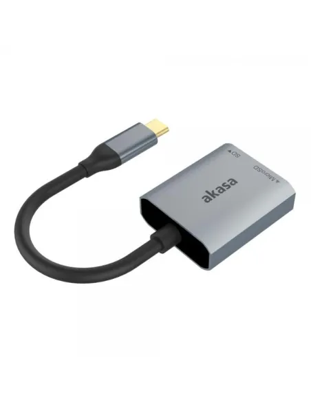 Akasa USB 3.2 Gen1 Type-C Dual Card Reader - silber