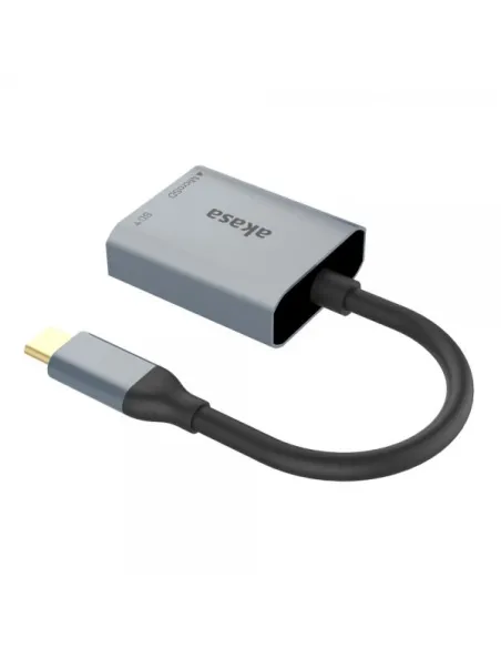 Akasa USB 3.2 Gen1 Type-C Dual Card Reader - silber