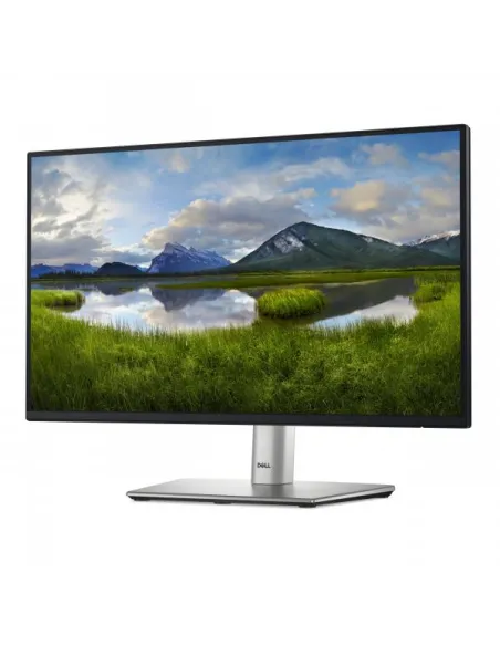 DELL 22 MONITOR - P2225H