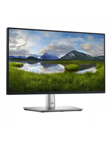 DELL 22 MONITOR - P2225H