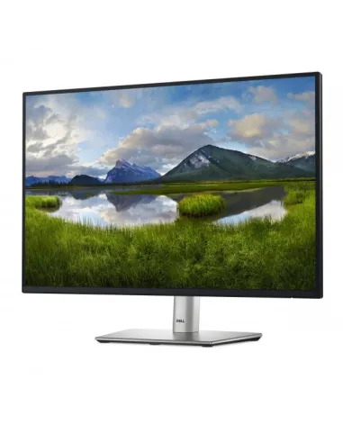 DELL 24 USB-C HUB MONITOR P2425E