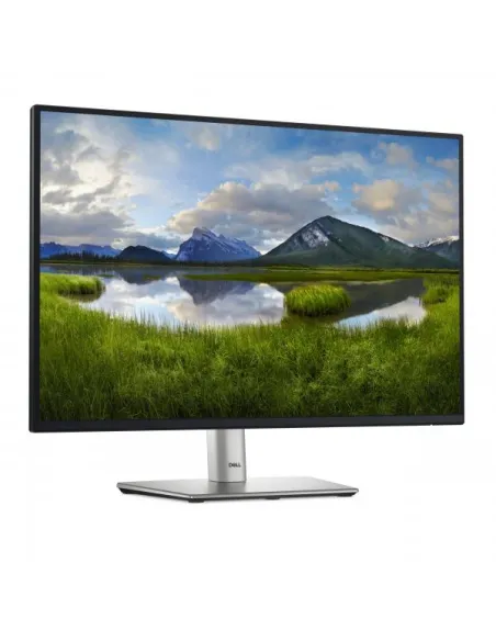 DELL 24 USB-C HUB MONITOR P2425E