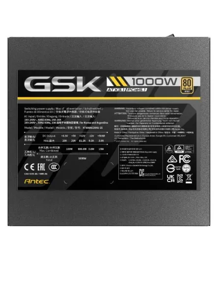 GSK 1000 EC