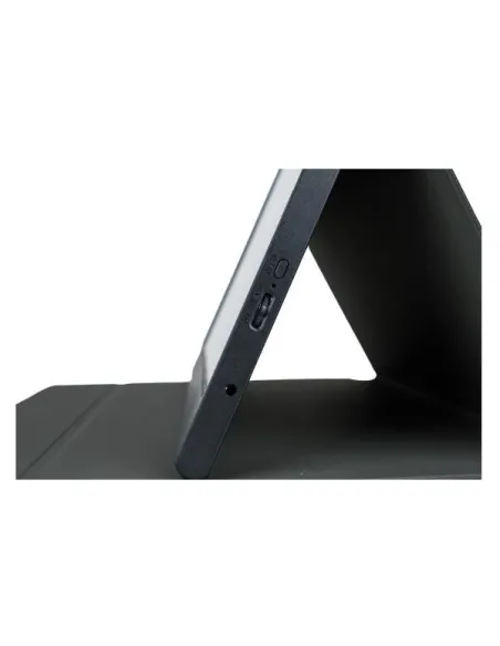 MONITOR 15.6 PORTATIL IPS FHD TYPEC