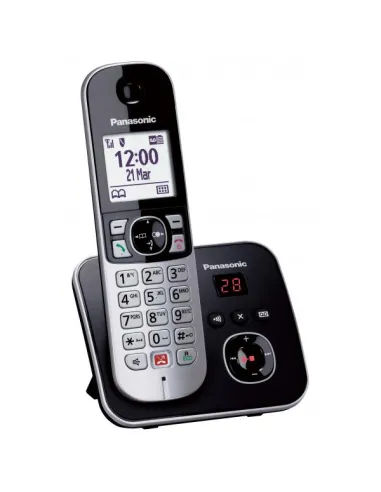 CORDLESS TG6861 SEGRETERIA