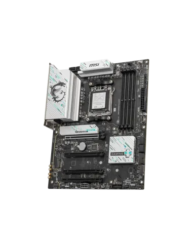 B850 GAMING PLUS WIFI