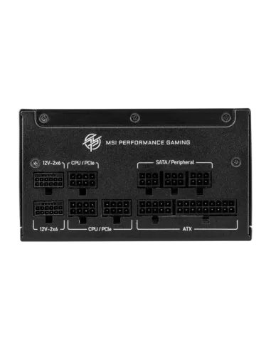 MPG A1000GS PCIE5