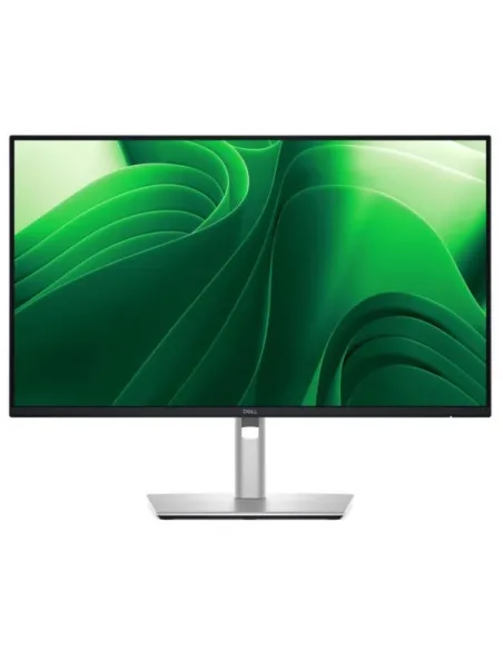 DELL PRO 24 PLUS QHD USBC P2425DE
