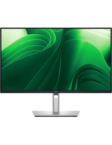 DELL PRO 24 PLUS QHD USBC P2425DE