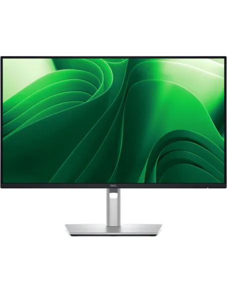 DELL PRO 24 PLUS QHD USBC P2425DE